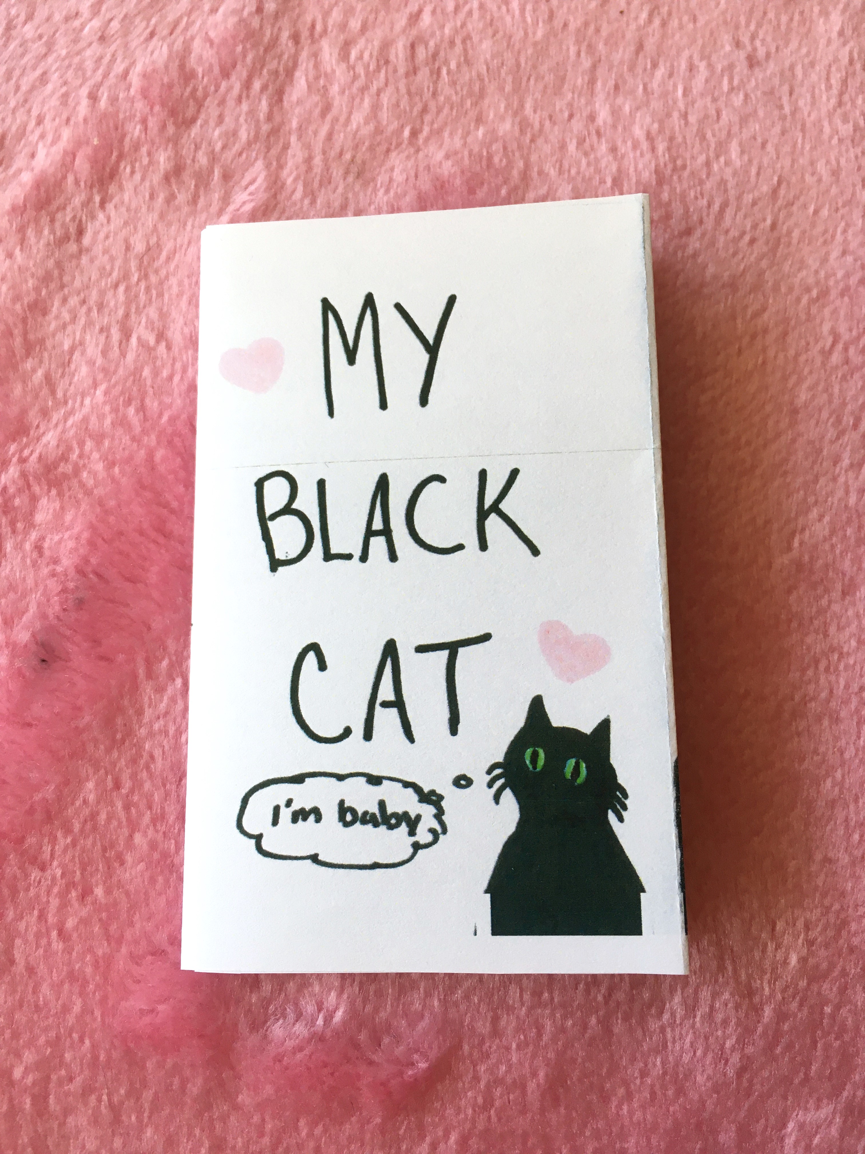 My Black Cat